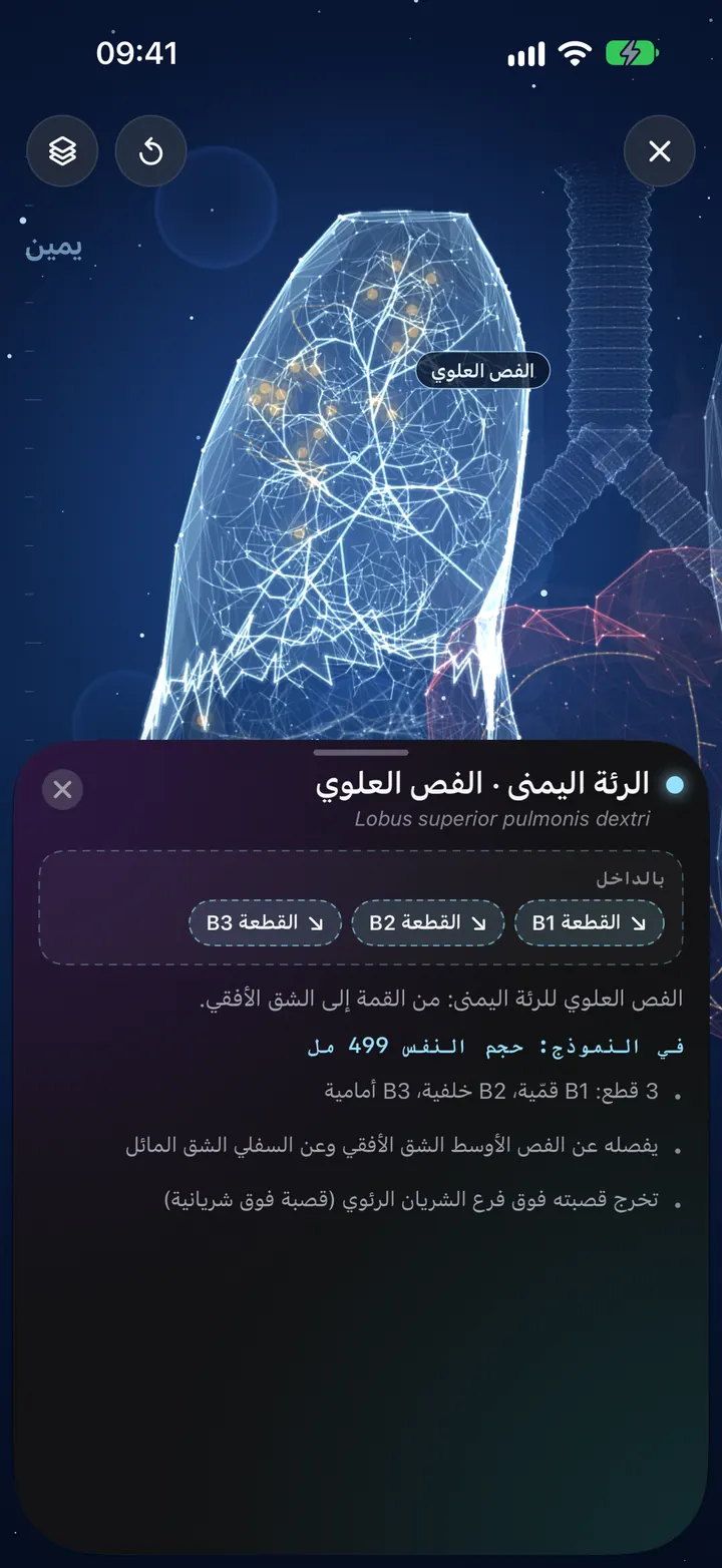 استكشف رئتيك بتقنية 3D