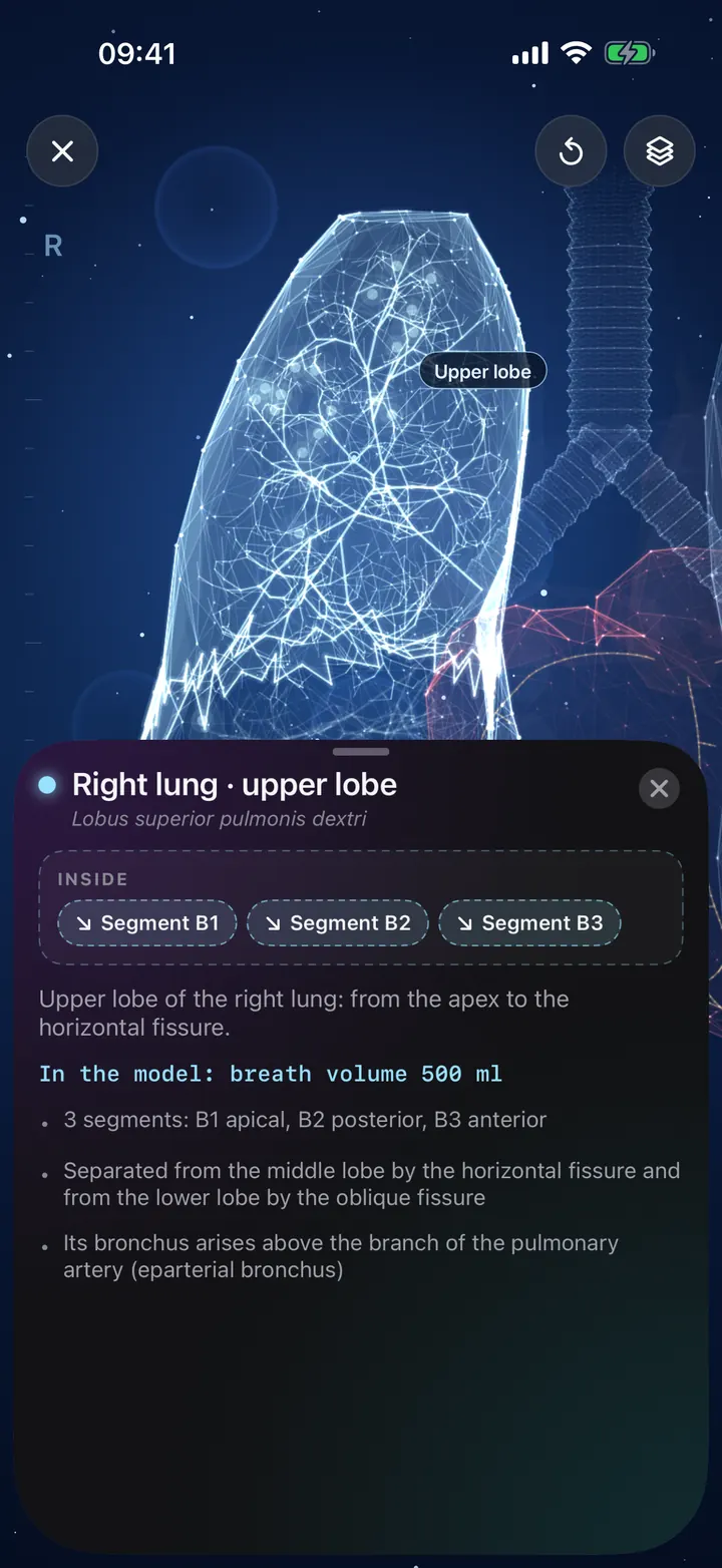 Explore your lungs in 3D