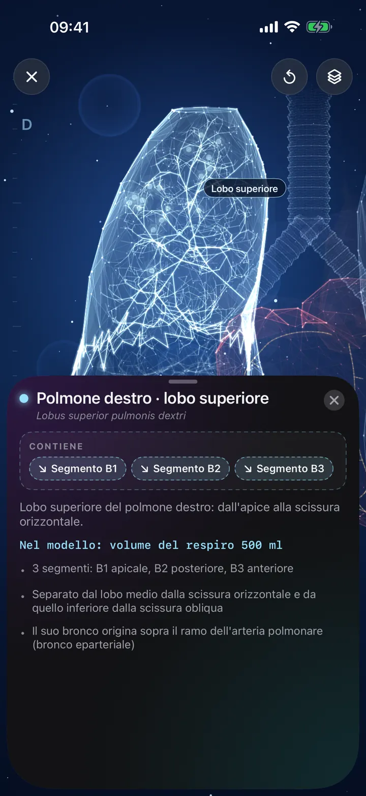 Esplora i polmoni in 3D