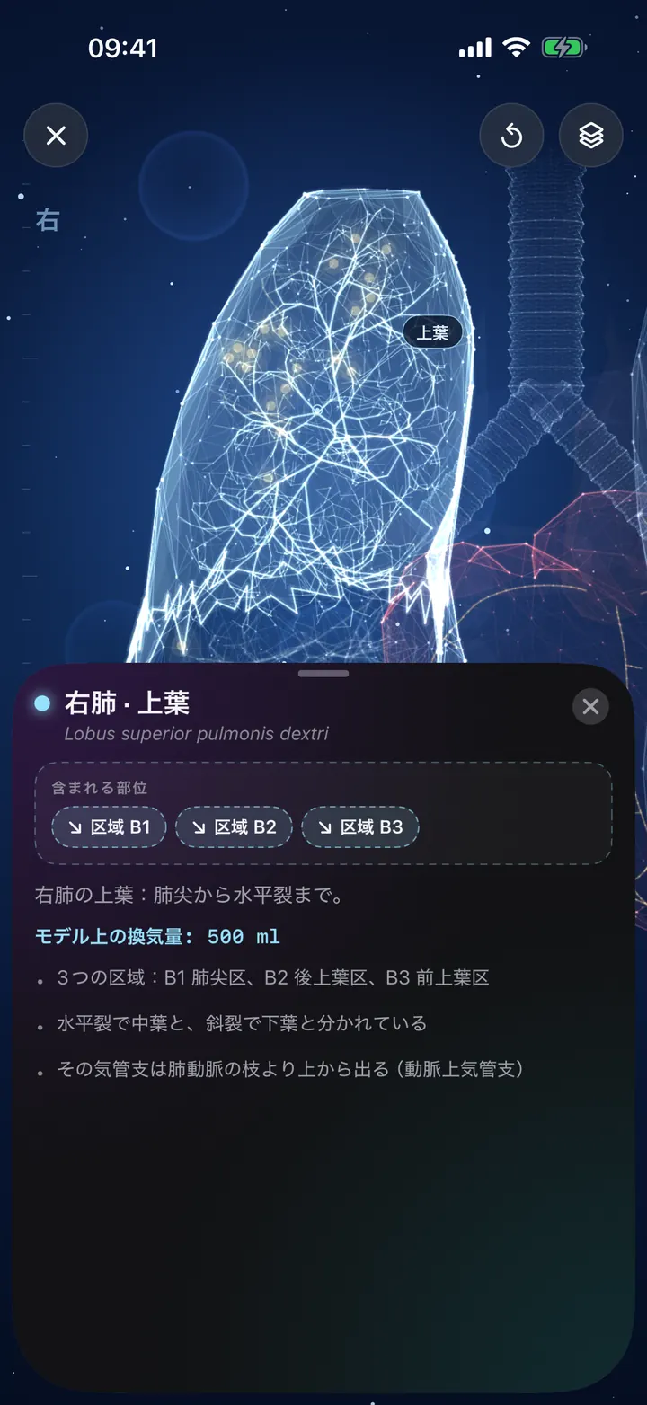 肺を3Dで探索